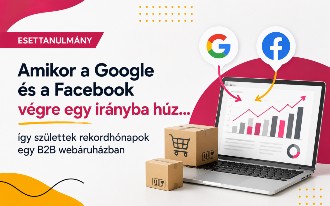 Esettanulmány: Amikor a Google és a Facebook végre egy irányba húz… így születtek rekordhónapok egy B2B webáruházban