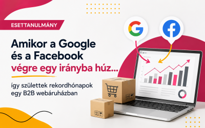 Esettanulmány: Amikor a Google és a Facebook végre egy irányba húz… így születtek rekordhónapok egy B2B webáruházban